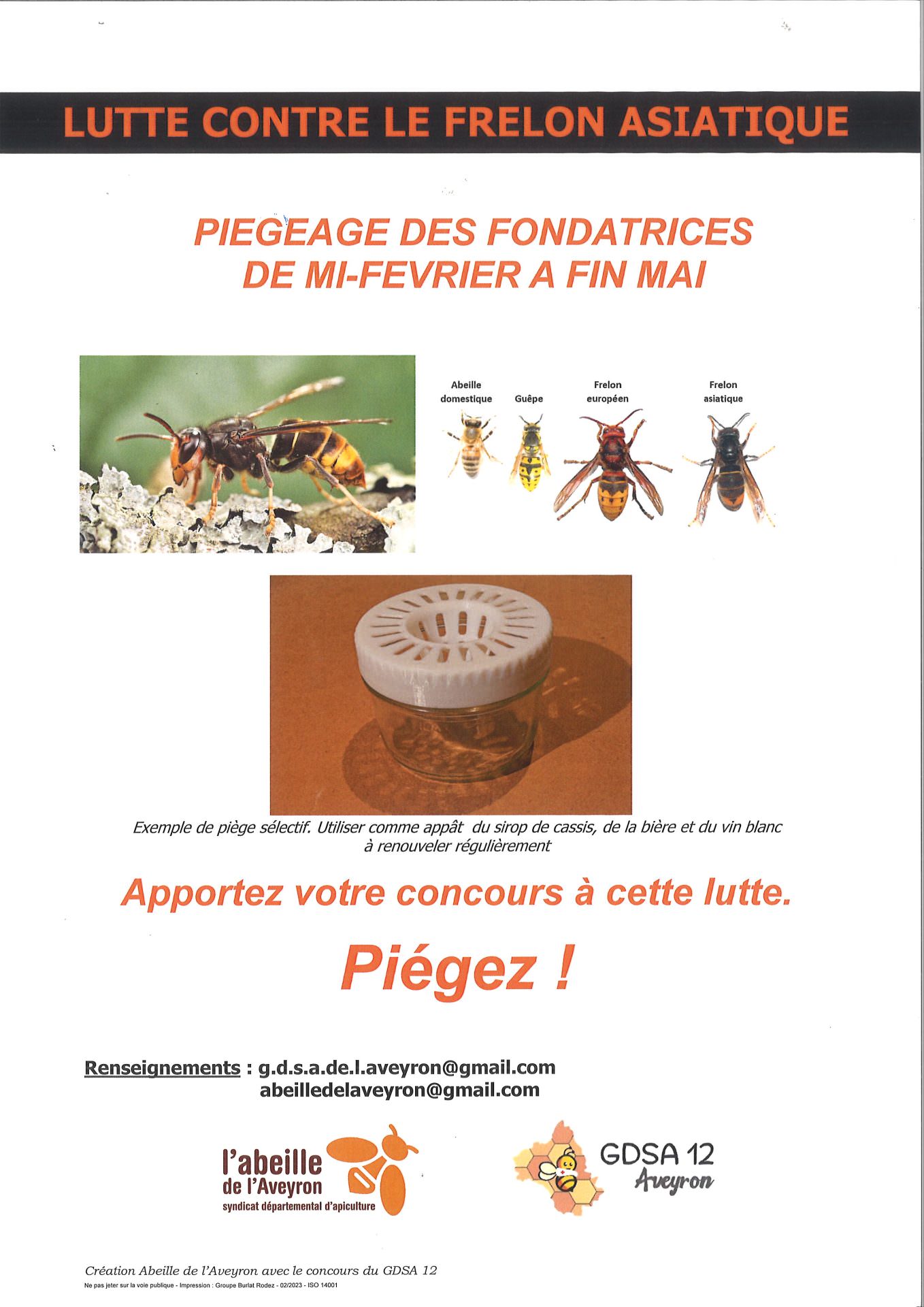 Lire la suite à propos de l’article comment éradiquer les frelons asiatiques ?
